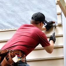 Best Historical Building Siding Restoration  in Lovelock, NV